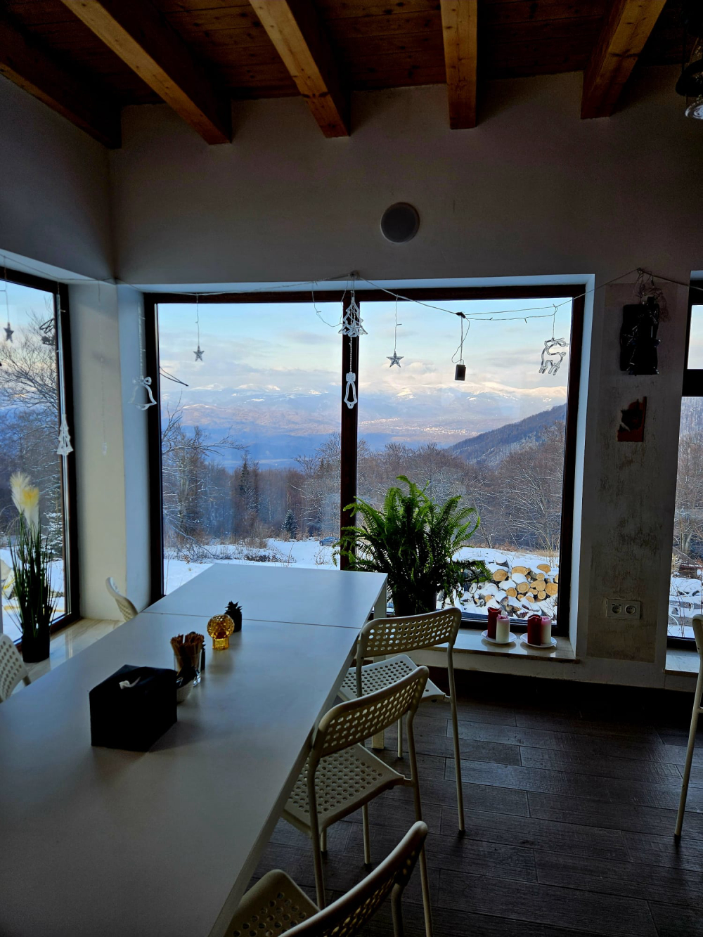 VEST TARBUS CONSTRUCT SRL