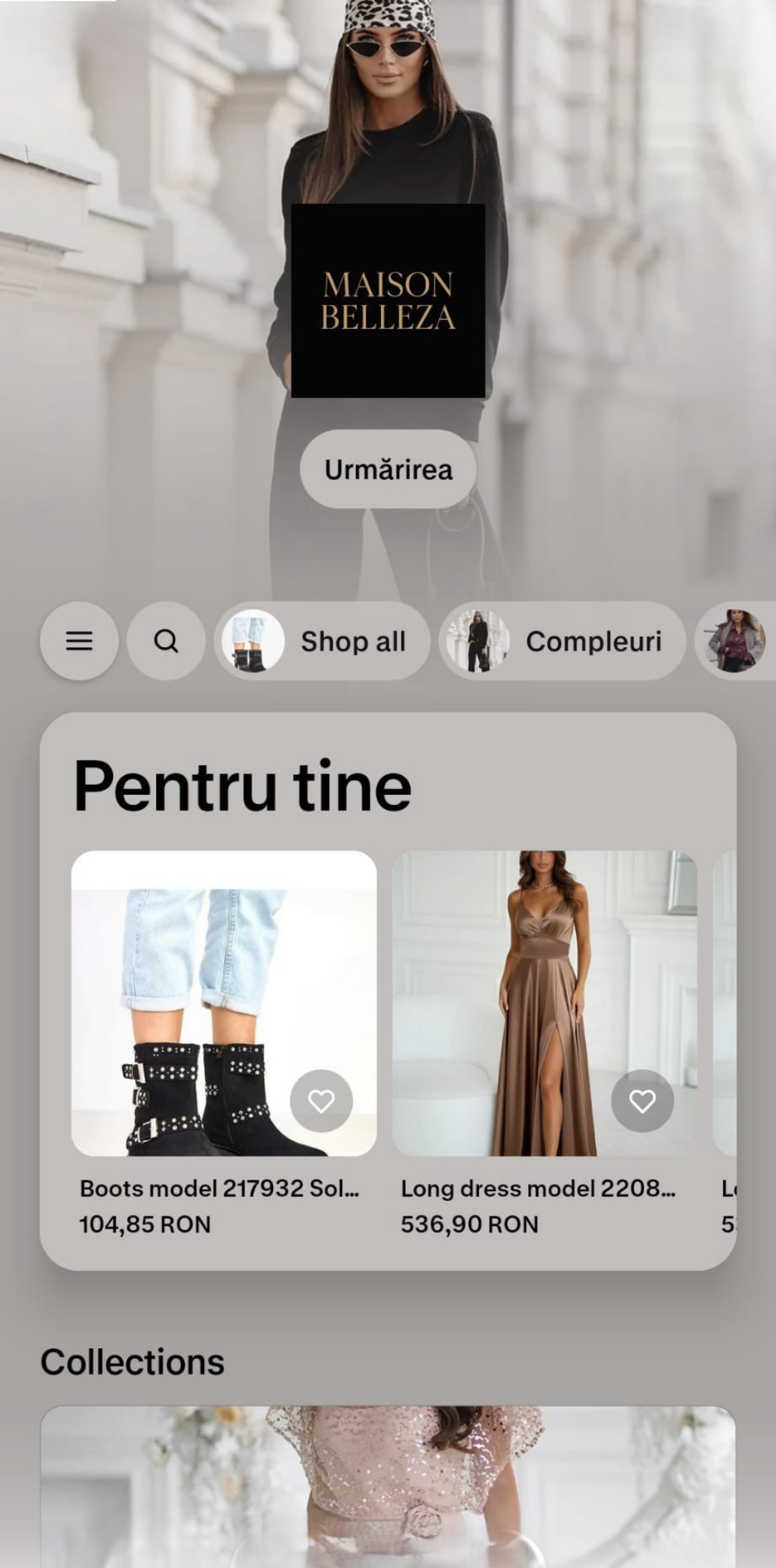 ROBIN'S TOP COMPANY SRL