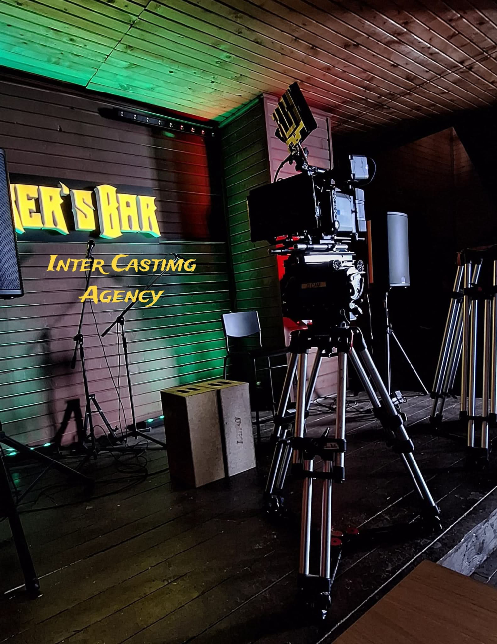 INTER CASTING AGENCY SRL